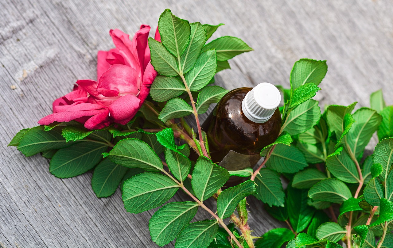 How to Use Essential Oils for Eco-Friendly Cleaning